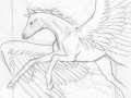 pegasus2.jpg